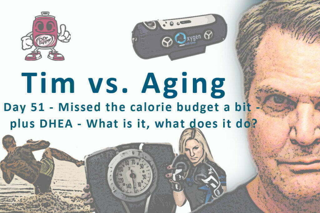 Missed the calorie budget a bit - plus DHEA - What is it, what does it do?