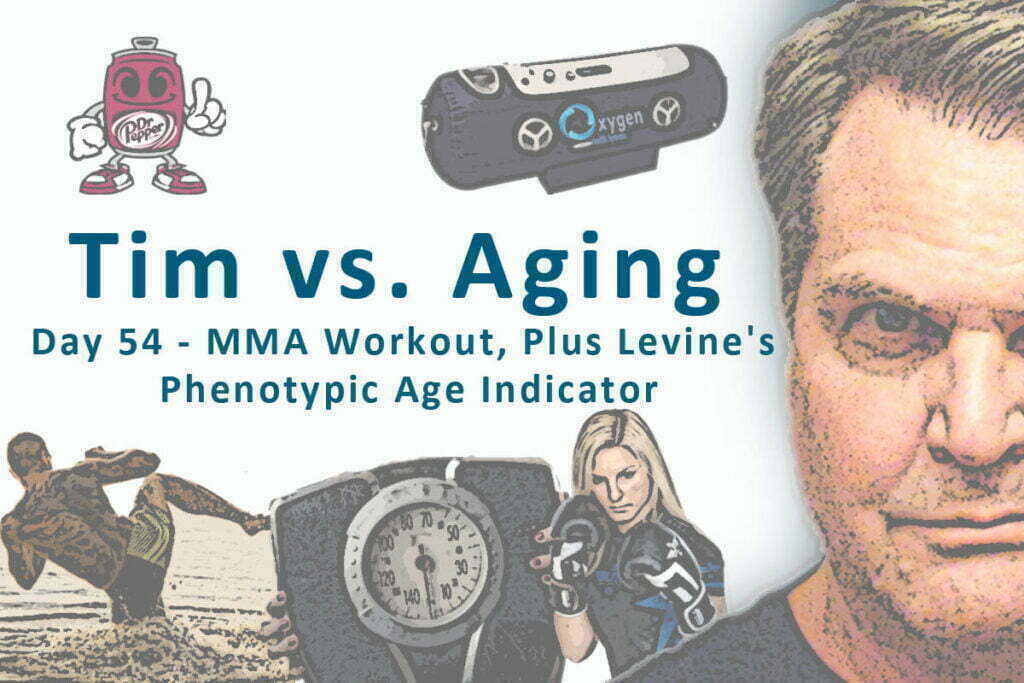 MMA Workout, Plus Levine's Phenotypic Age Indicator